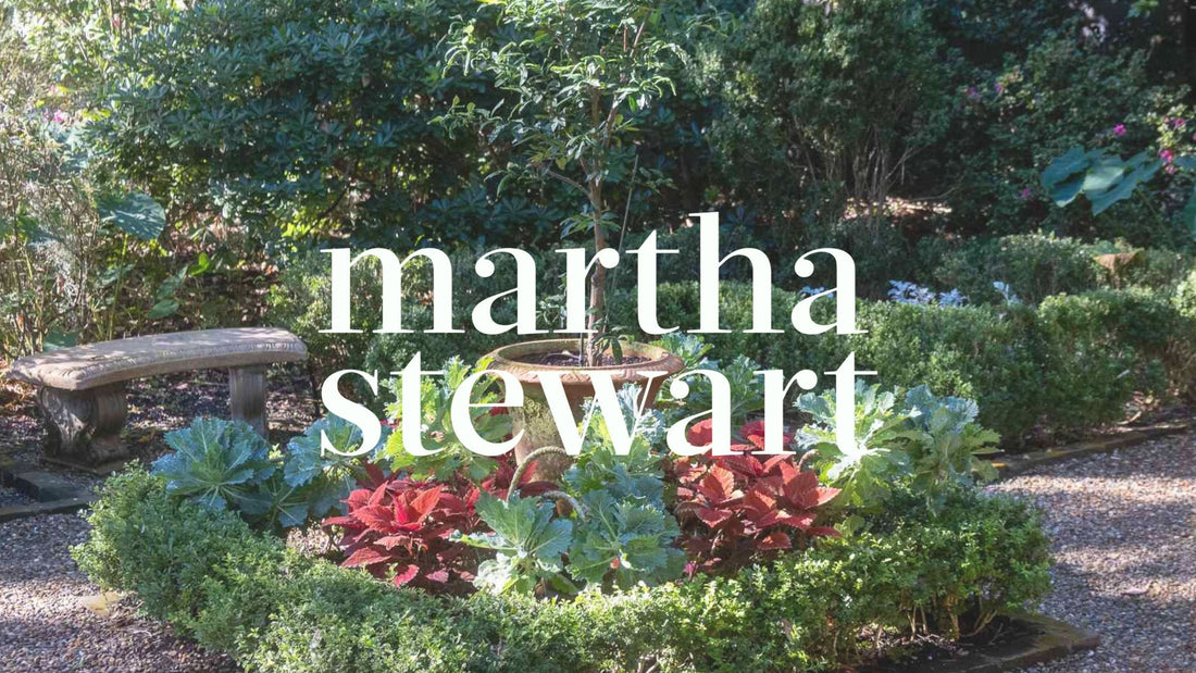 Hommes + Gardens Featured in Martha Stewart: Flagstone, Grass, and the Art of the Modern Garden Path