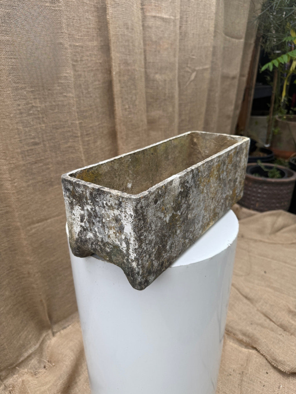 Close-up of moss and aged patina on Willy Guhl planter