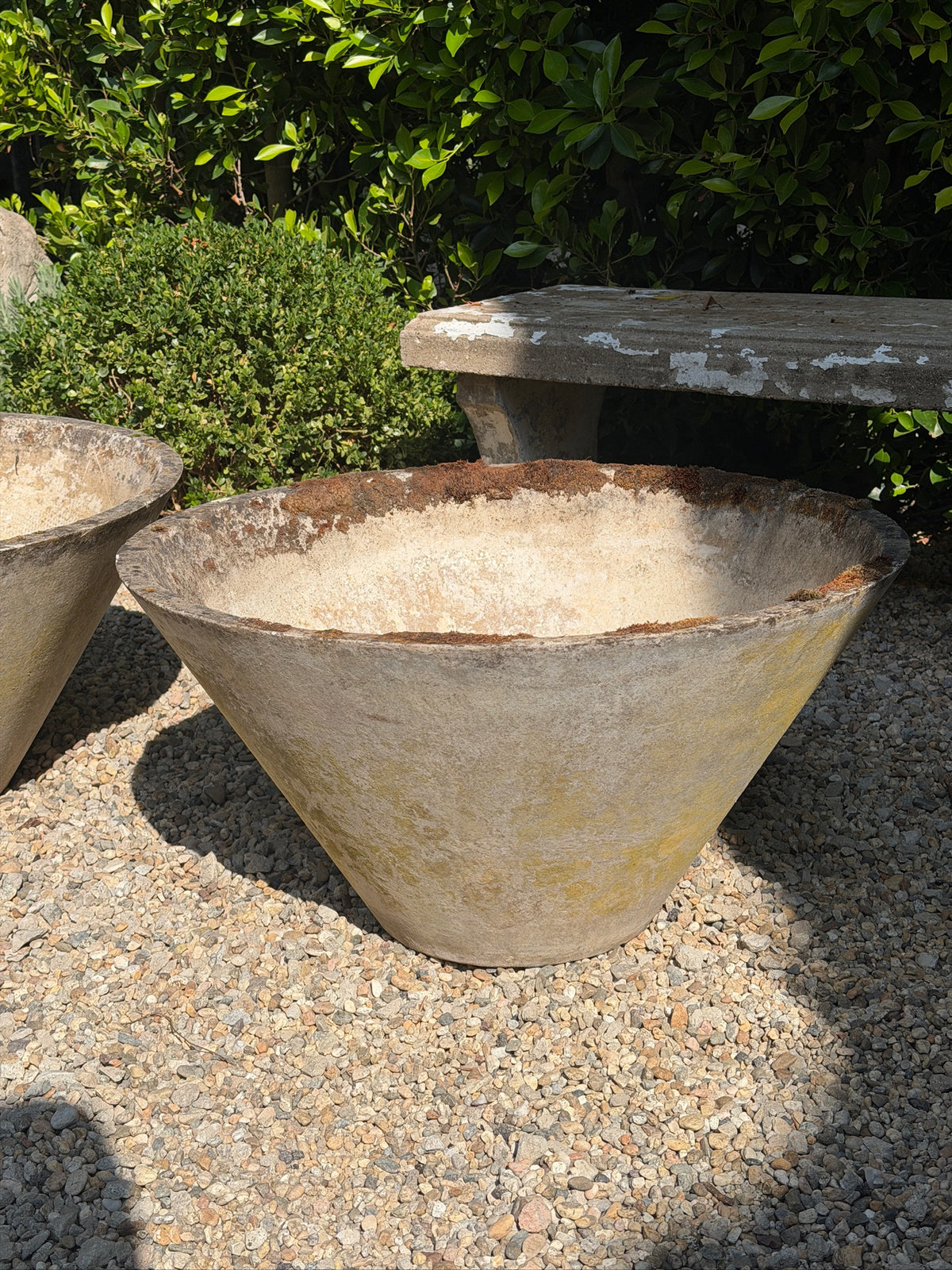 Large conical cement planter by Willy Guhl