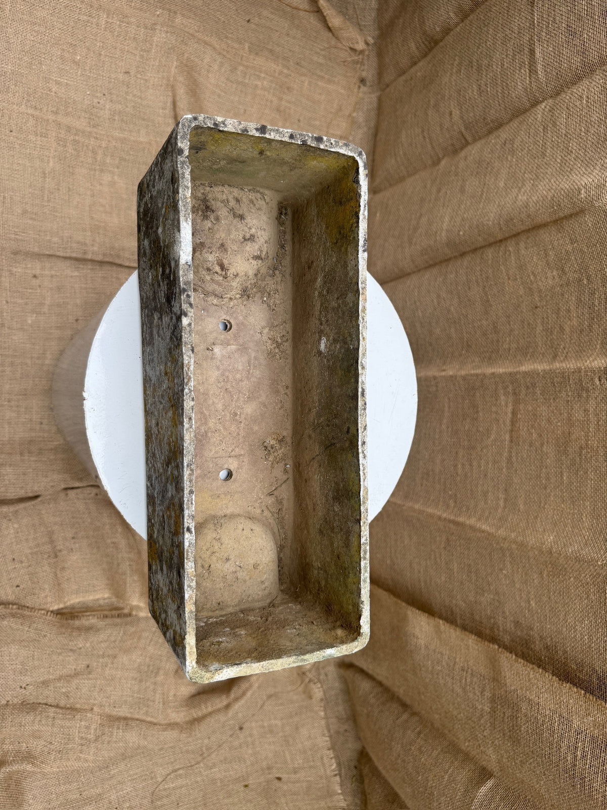 Up view of rectangular Willy Guhl cement planter