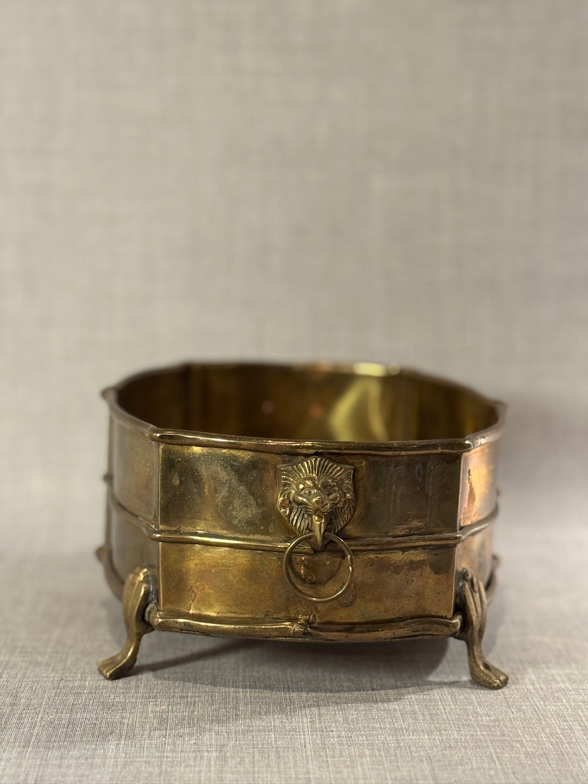 Early 20th Century Handcrafted Brass Oval Jardinière with Lion Mask Handles and Paw Feet – Elegant Antique Planter