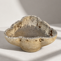 Mid-century Brutalist concrete planter with sculptural clover form