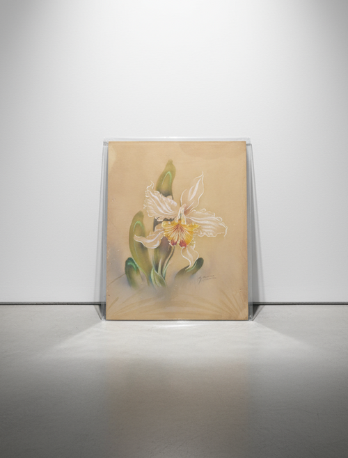 1940S TIP FREEMAN HAND PAINTED FLOWERS in a plastic sleeve with floral design, signed by the artist. hommes + gardens estudio.