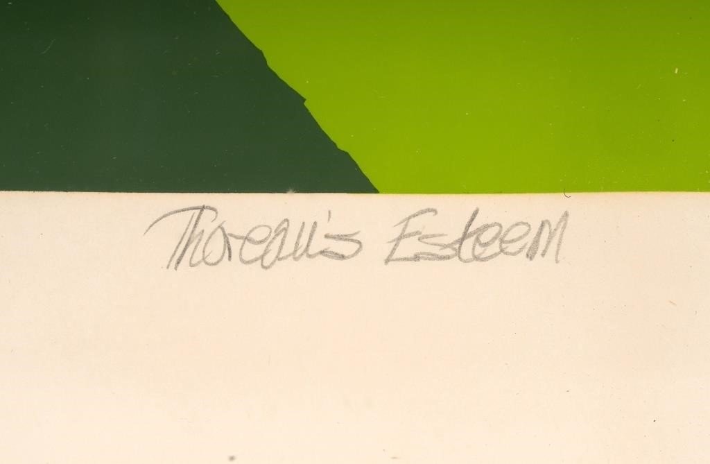 Signature detail of "Thomas's Esteem" - Limited Edition Silkscreen by Thomas Lahy, showcasing the artist's work. hommes + gardens estudio.