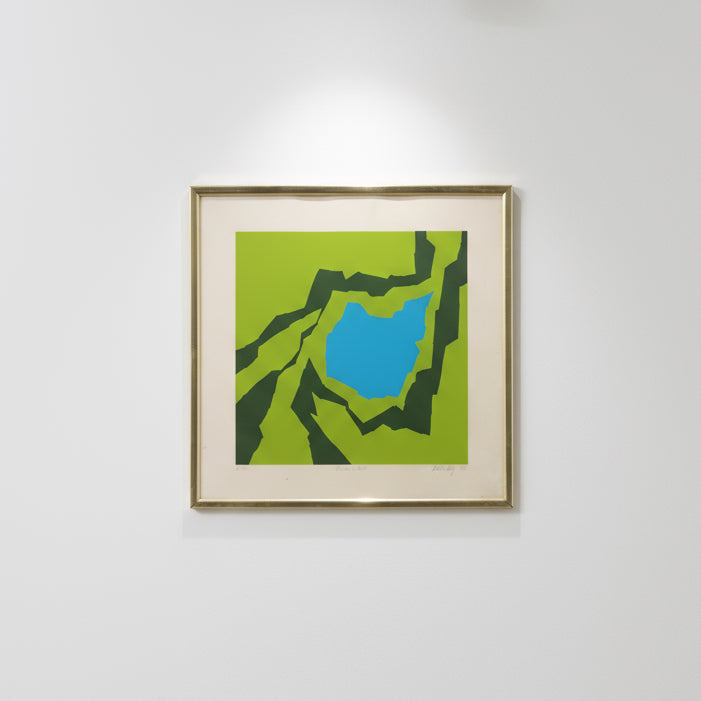 "Thomas's Esteem" - Limited Edition Silkscreen by Thomas Lahy, 1970, framed art with vibrant colors, hommes + gardens estudio.
