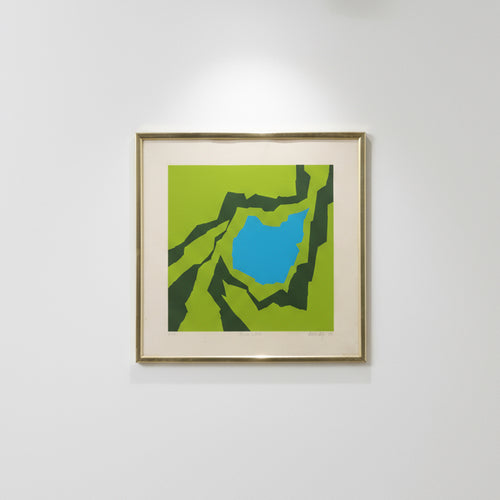 "Thomas's Esteem" - Limited Edition Silkscreen by Thomas Lahy, 1970, framed art with vibrant colors, hommes + gardens estudio.