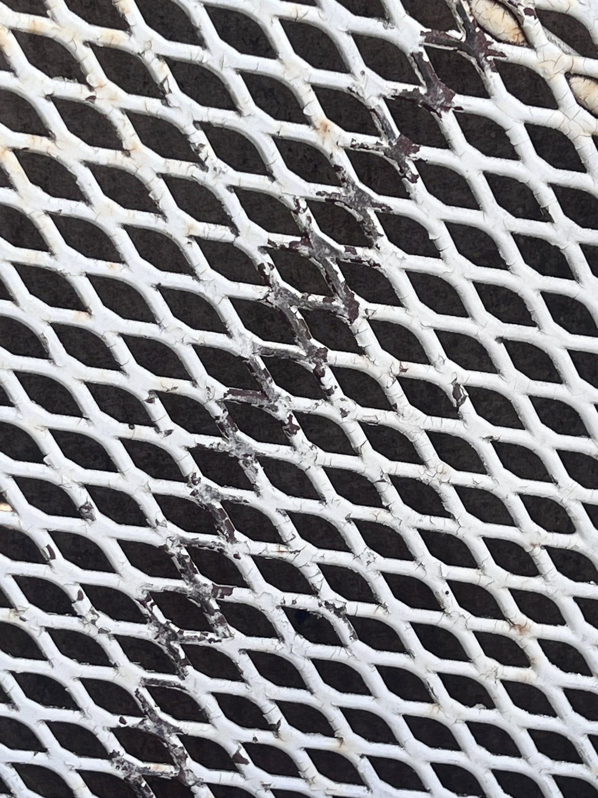 Close-up texture of vintage white wrought iron mesh pattern, showcasing unique paint wear and charm. hommes + gardens estudio