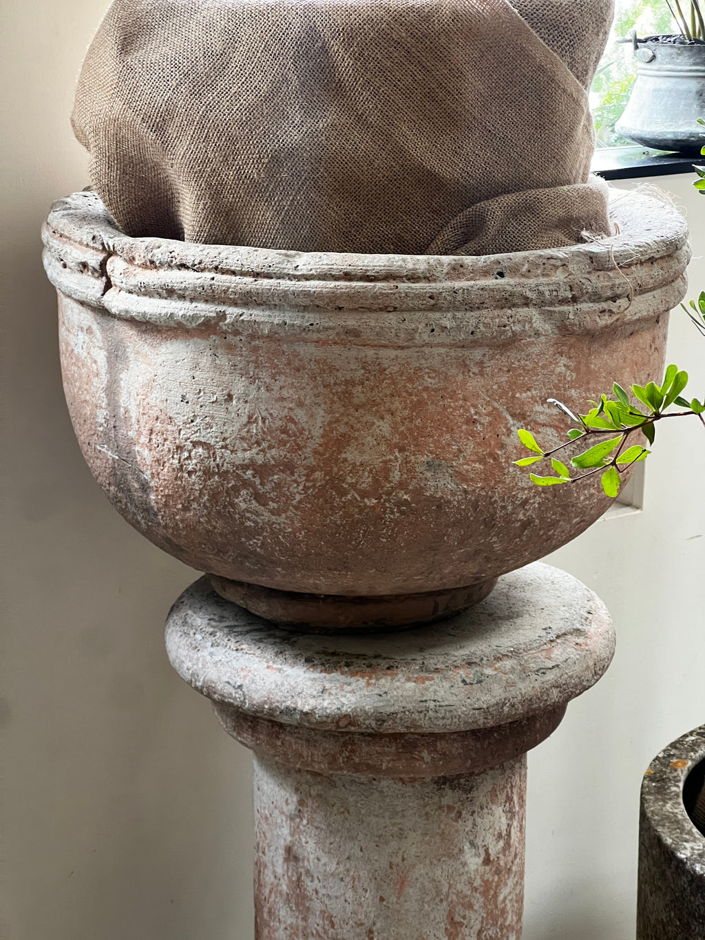 Vintage Sevilla Stone Planter w/ Pedestal showcasing its elegant design, perfect for plants. hommes + gardens estudio.