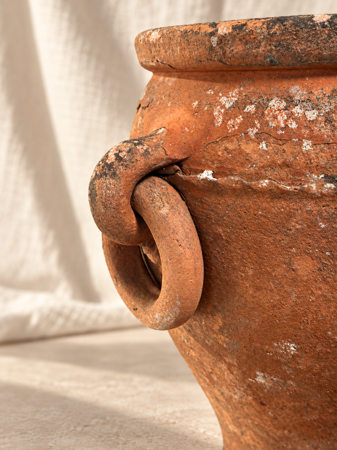 Close-up of double loop handles on terracotta amphora